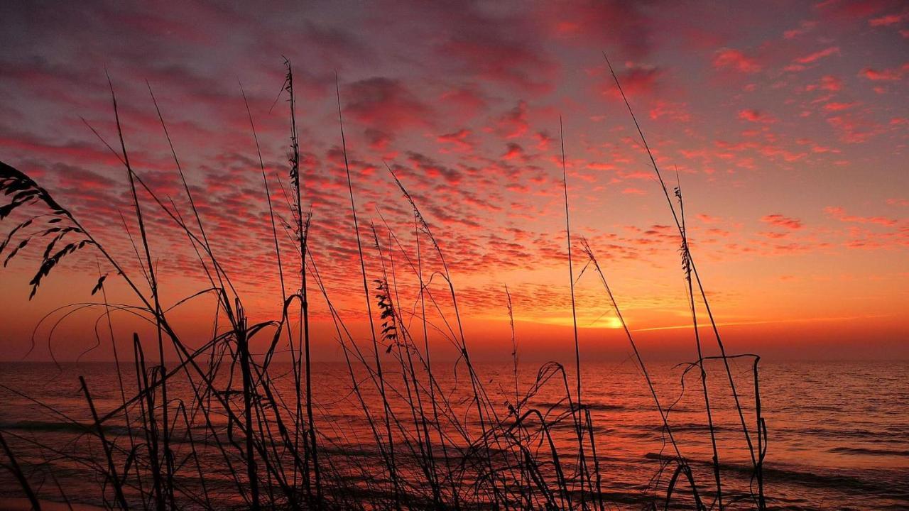 Coconut Paradise St. Pete Beach Bagian luar foto