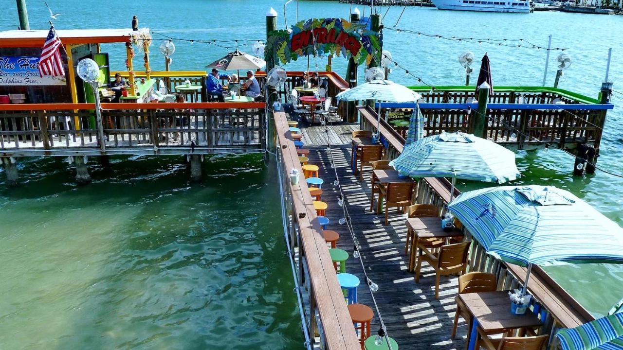 Coconut Paradise St. Pete Beach Bagian luar foto