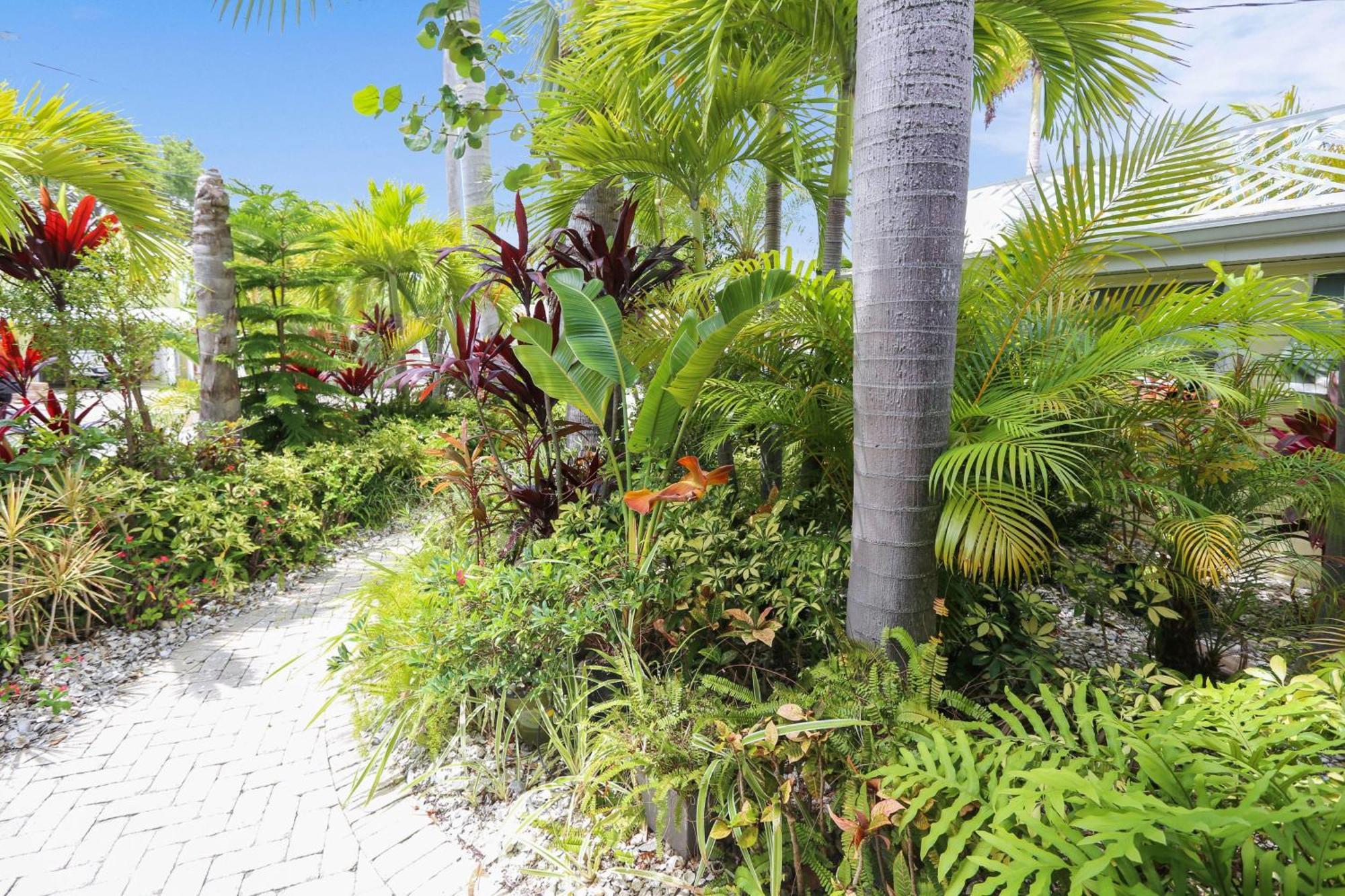 Coconut Paradise St. Pete Beach Bagian luar foto